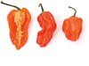scotch bonnet peppers